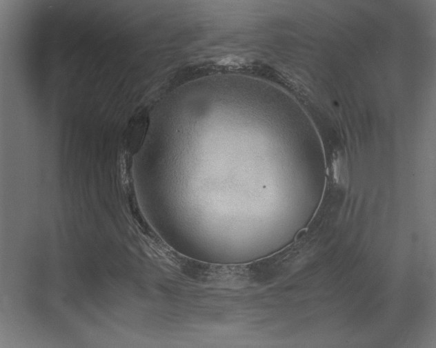 X0000073411347200607281115