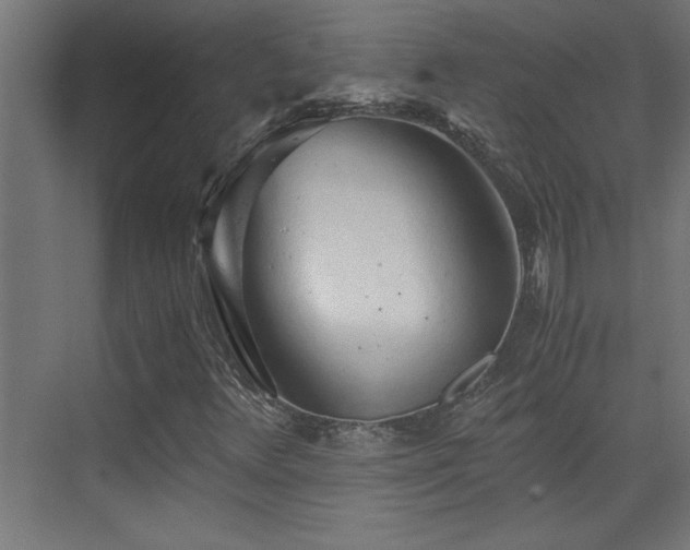 X0000073411348200607281115