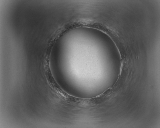 X0000073411349200607281115