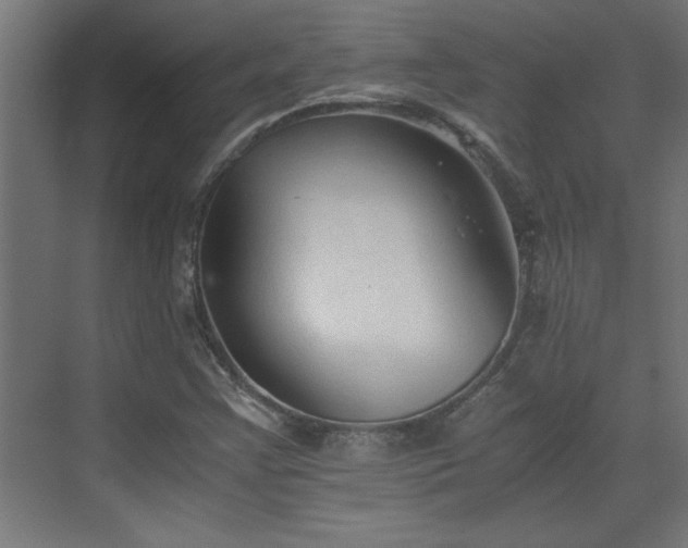 X0000073411355200607281115