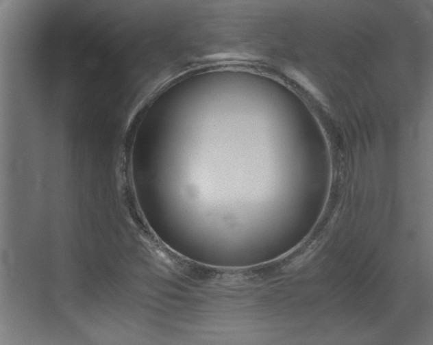 X0000073411357200607281115