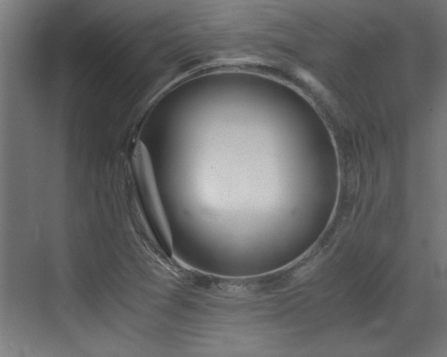 X0000073411361200607281115
