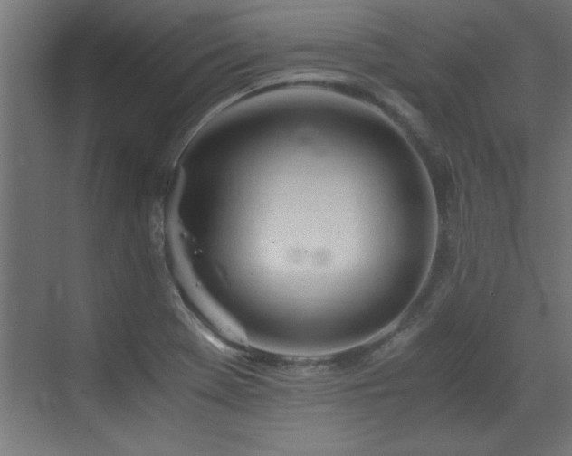 X0000073411369200607281115