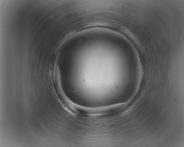X0000073411377200607281115