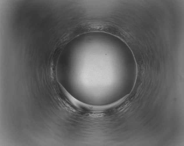 X0000073411394200607281114