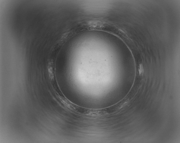 X0000073411396200607281114