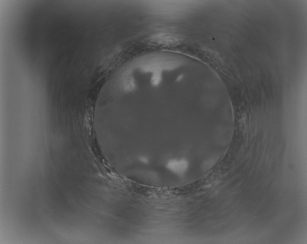 X0000073411397200607281114
