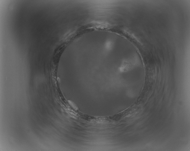 X0000073411399200607281114