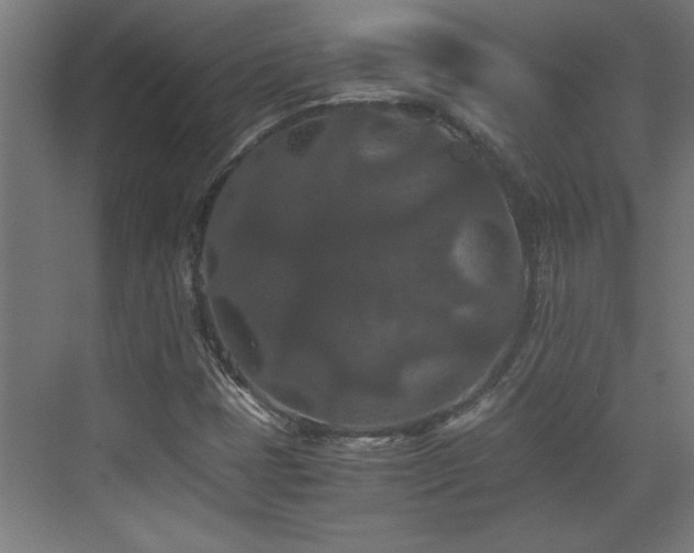 X0000073411401200607281114