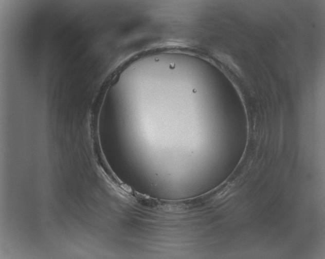 X0000073411404200607281114