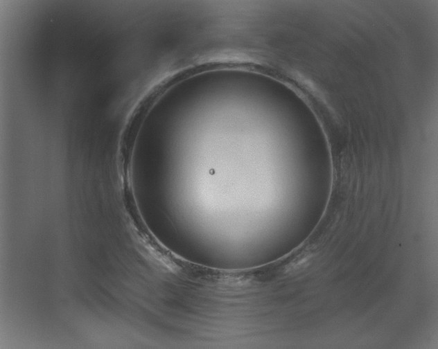 X0000073411408200607281114