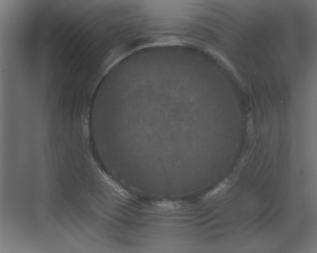 X0000073411409200607281114