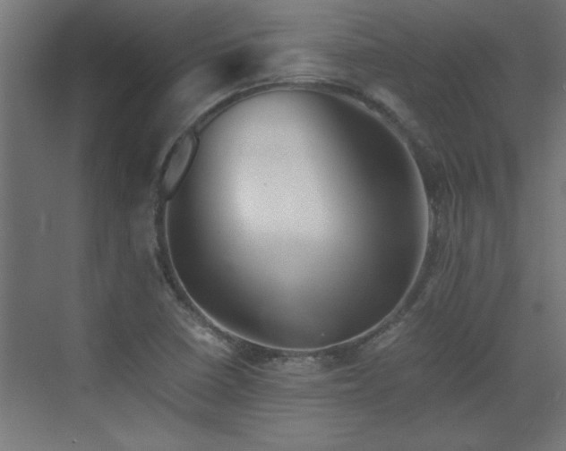 X0000073411410200607281114