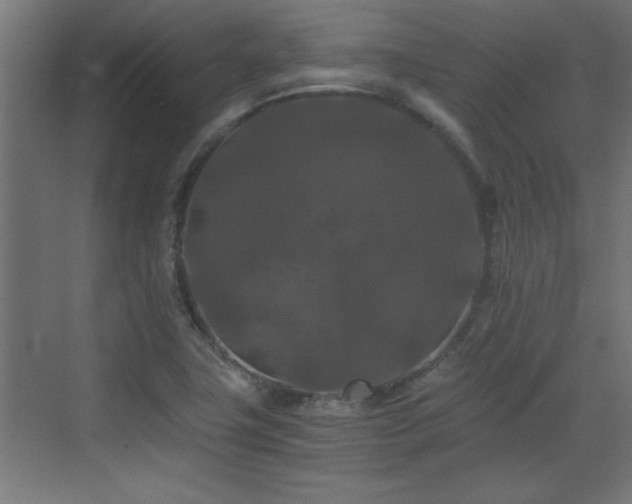 X0000073411411200607281114