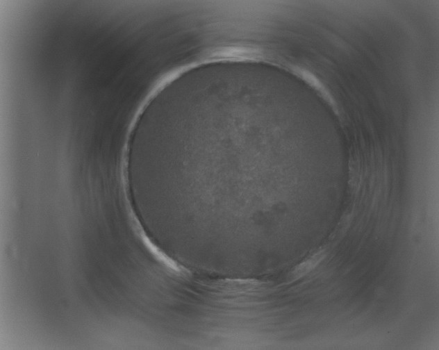 X0000073411421200607281114