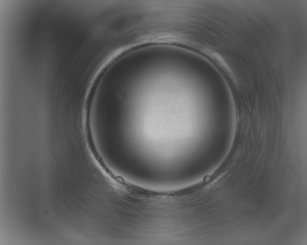 X0000073411424200607281114