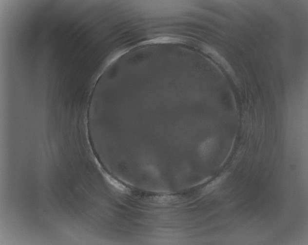 X0000073411425200607281114