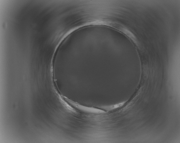 X0000073411428200607281114
