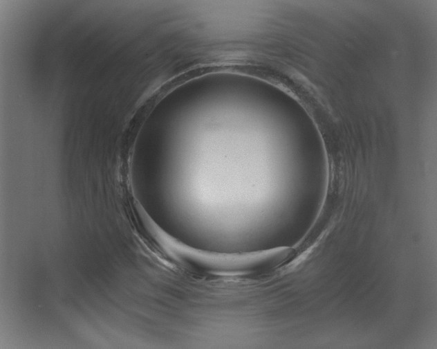 X0000073411449200607281114