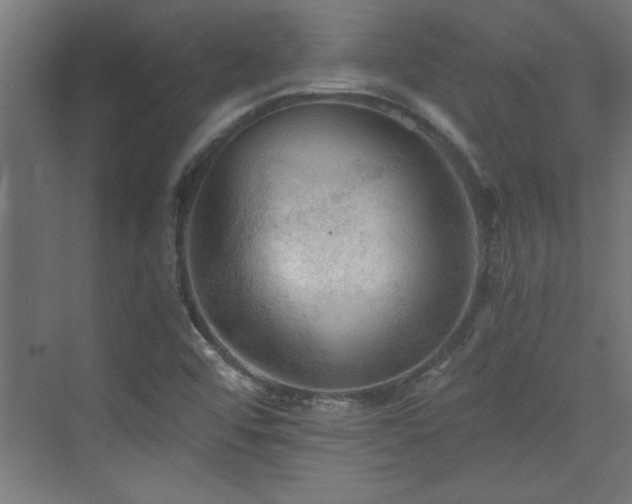 X0000073411456200607281114