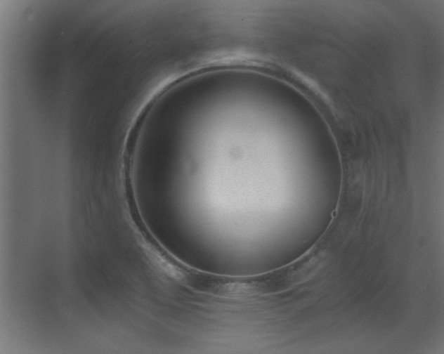 X0000073411463200607281114