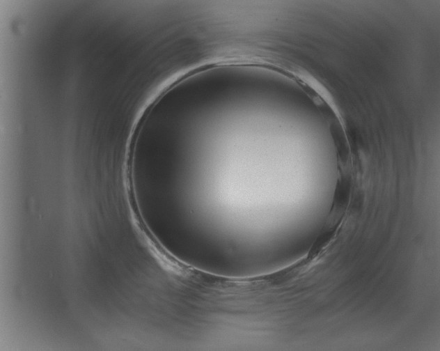 X0000073411485200607281113