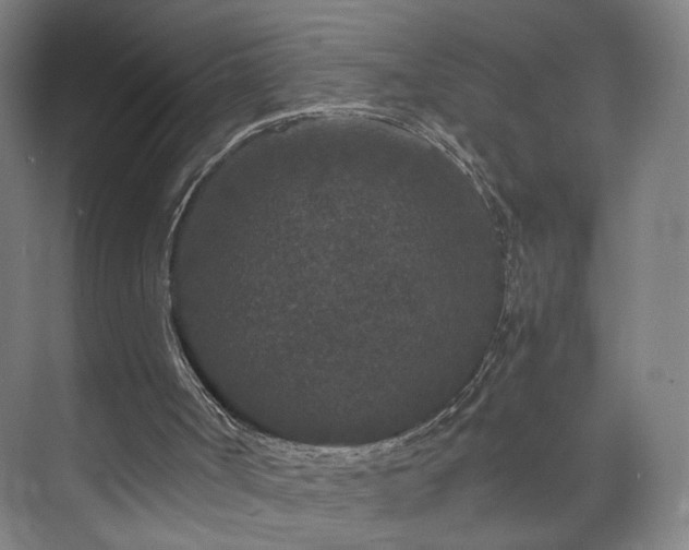 X0000073410002200608041010