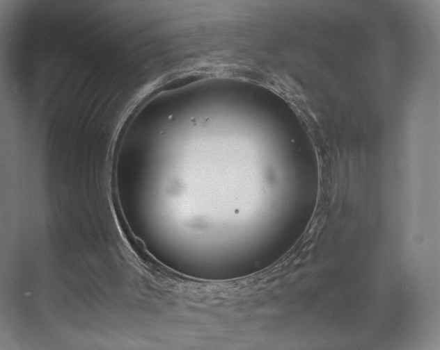 X0000073410003200608041010