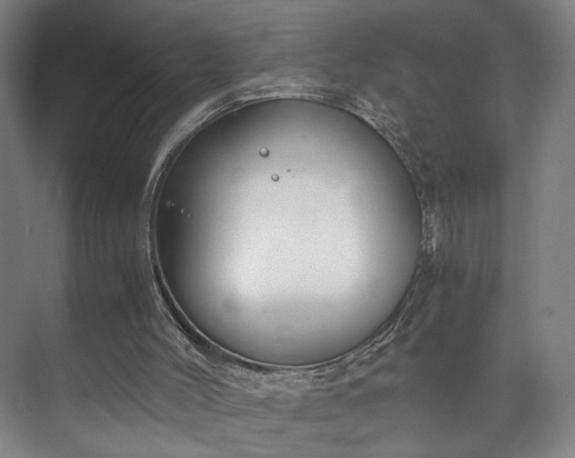 X0000073410004200608041010