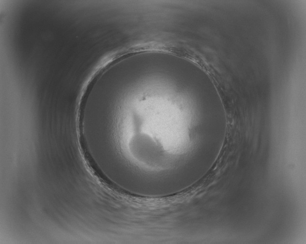 X0000073410006200608041010