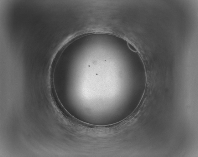 X0000073410008200608041010