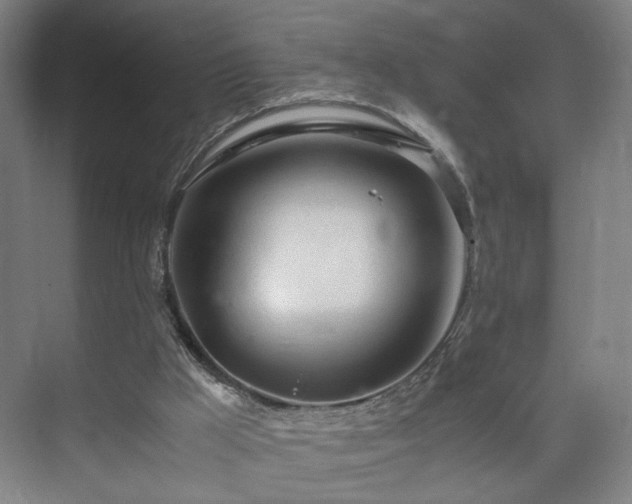 X0000073410009200608041010