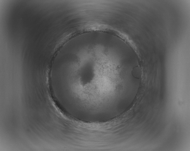 X0000073410010200608041010