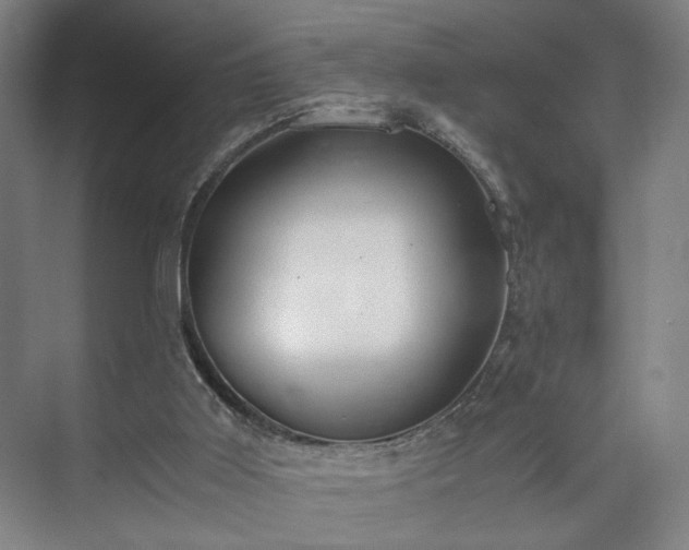 X0000073410011200608041010