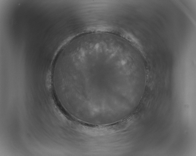 X0000073410012200608041010