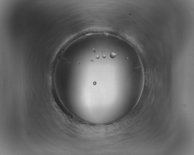 X0000073410015200608041010