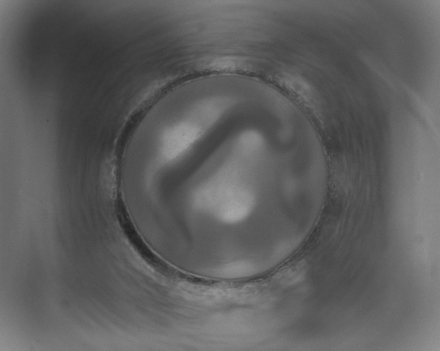 X0000073410016200608041010