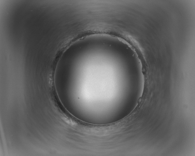 X0000073410017200608041010