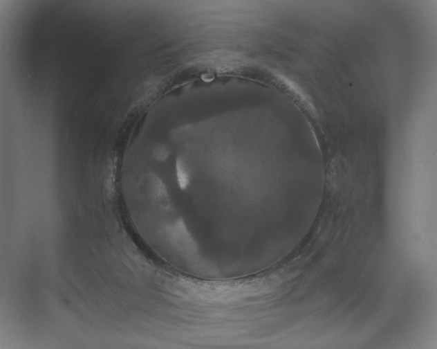 X0000073410018200608041010