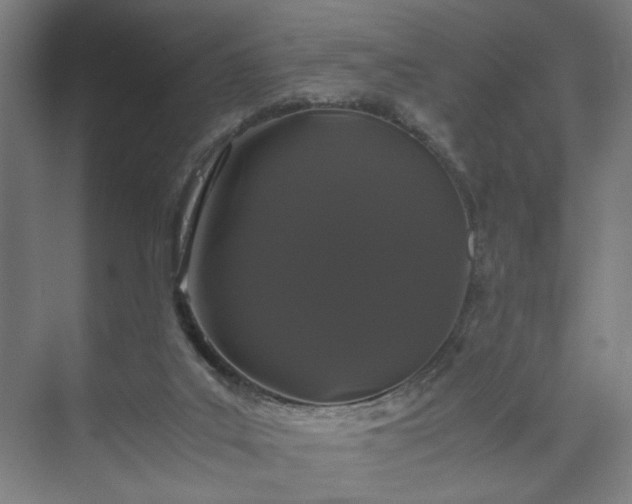 X0000073410019200608041010