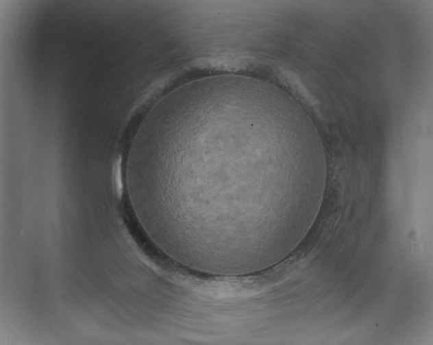 X0000073410020200608041010