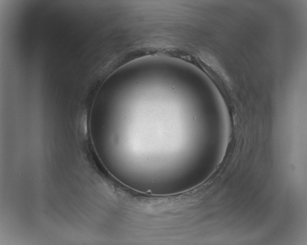 X0000073410021200608041010