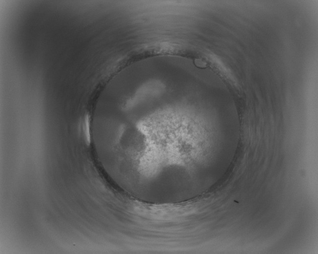 X0000073410022200608041010