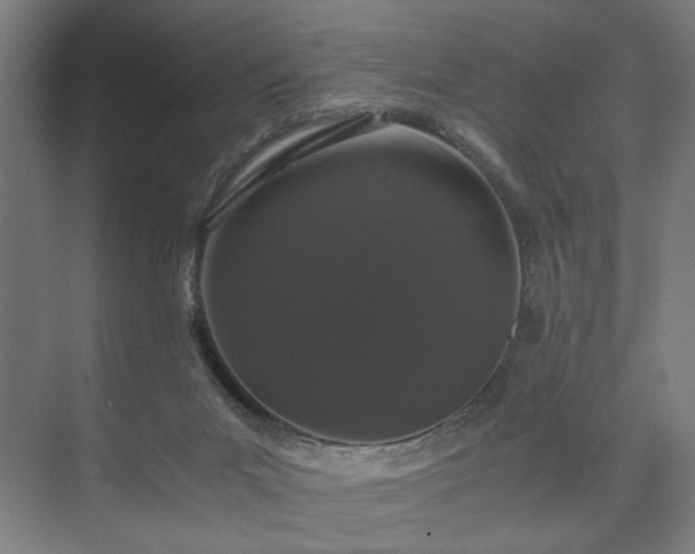 X0000073410023200608041010