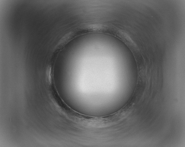 X0000073410024200608041010