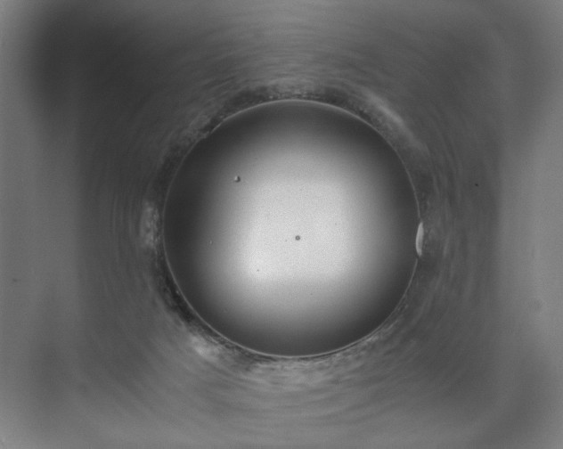 X0000073410025200608041010