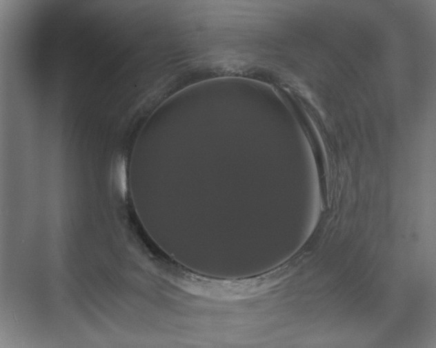 X0000073410027200608041010