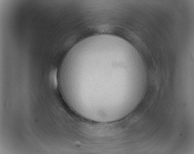 X0000073410028200608041010