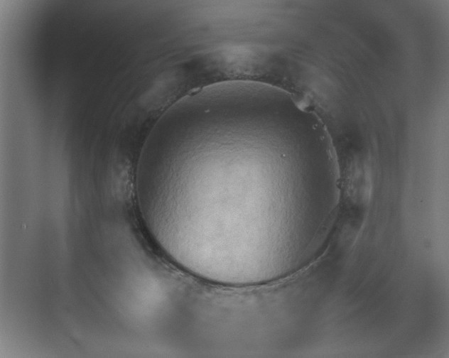 X0000073410029200608041010