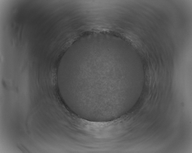 X0000073410034200608041010